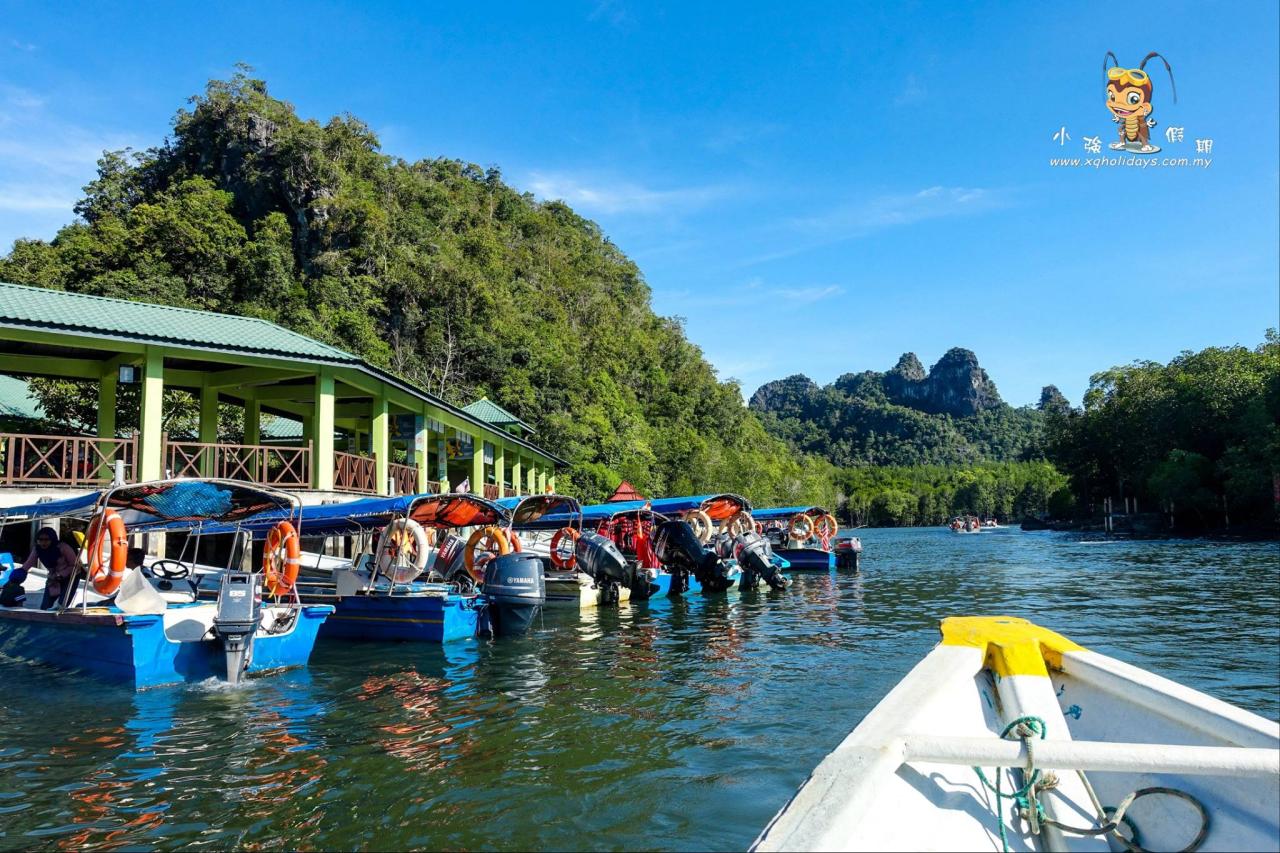 Jelajahi Ekosistem Pesisir Langkawi dengan Mangrove Tour