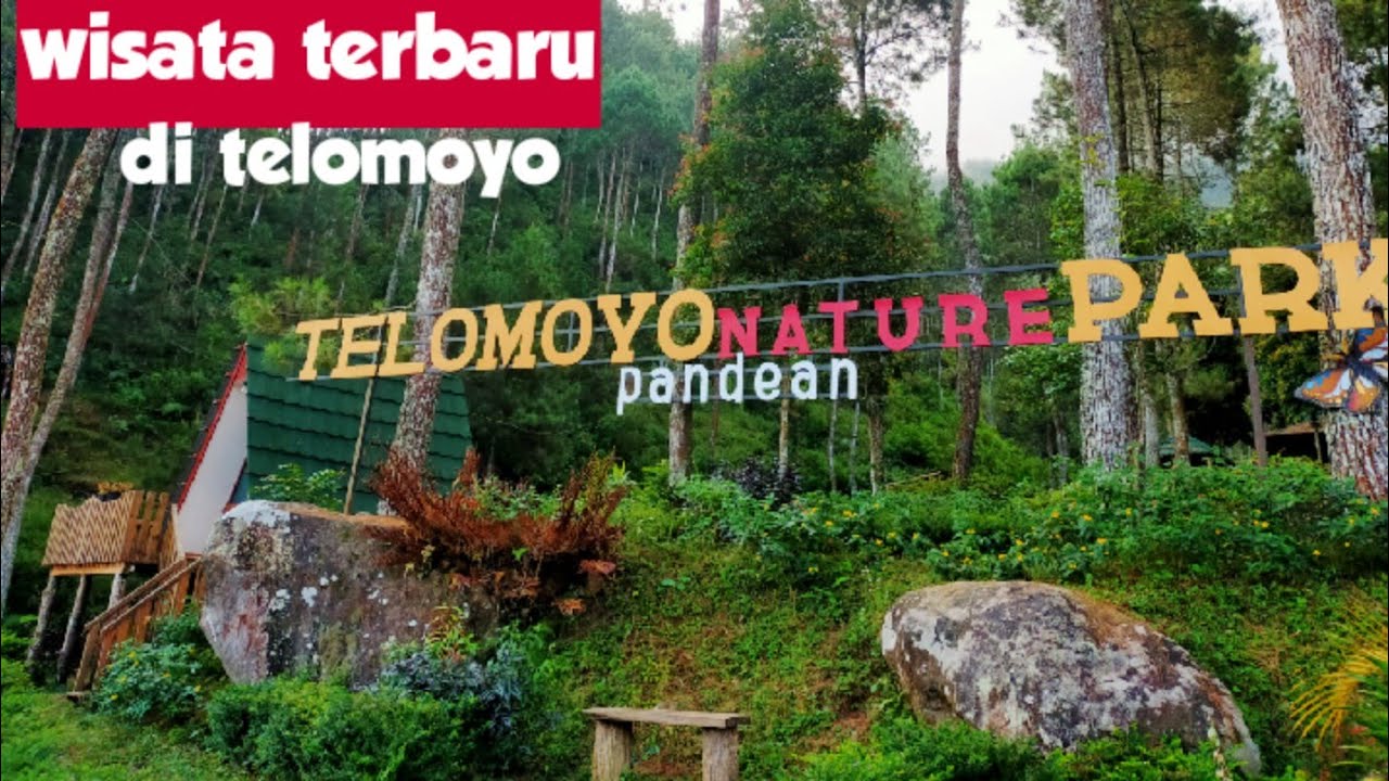 Telomoyo Nature Park: Pesona Alam di Atas Awan Jawa Tengah